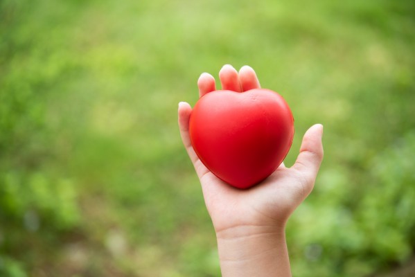 DECIDO ME ENTREGAR E CONFIAR